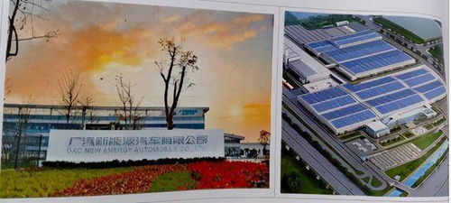 番禺 探秘化龍 這26句情話,讓你再一次愛上它