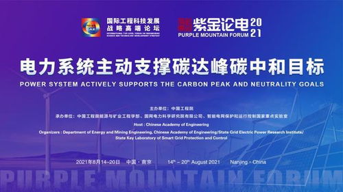 2021國(guó)際工程科技發(fā)展戰(zhàn)略高端論壇暨第六屆紫金論電國(guó)際學(xué)術(shù)研討會(huì)召開(kāi)